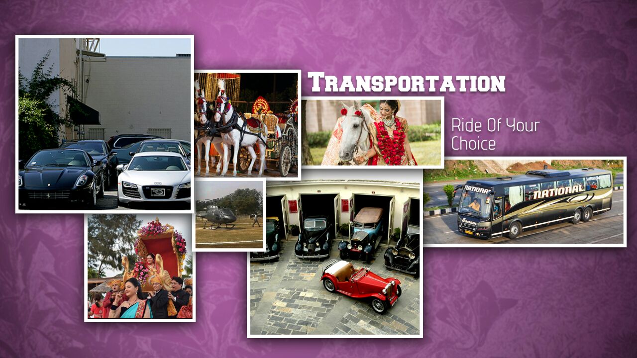 Ride Of Your Choice - Transportation
